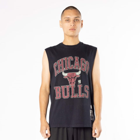 Mitchell and Ness Chicago Bulls Vintage HWC Ivy Arch Muscle