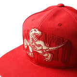 Mitchell and Ness Capthony Towns Snapback Raptors